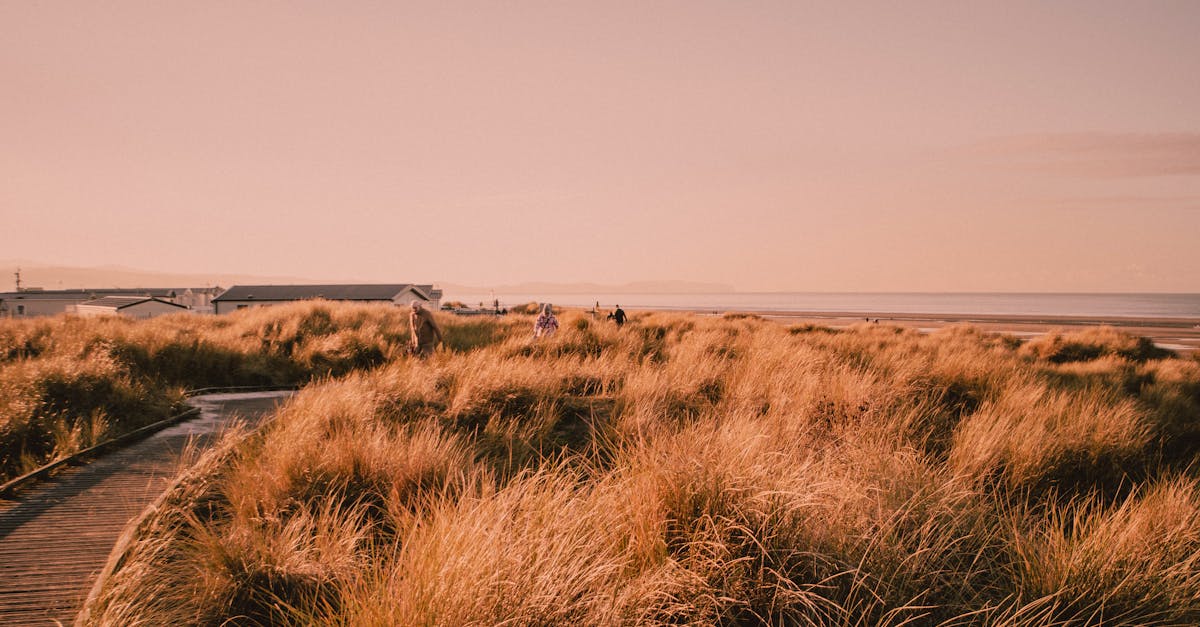 Mediterranean Dune Guardians