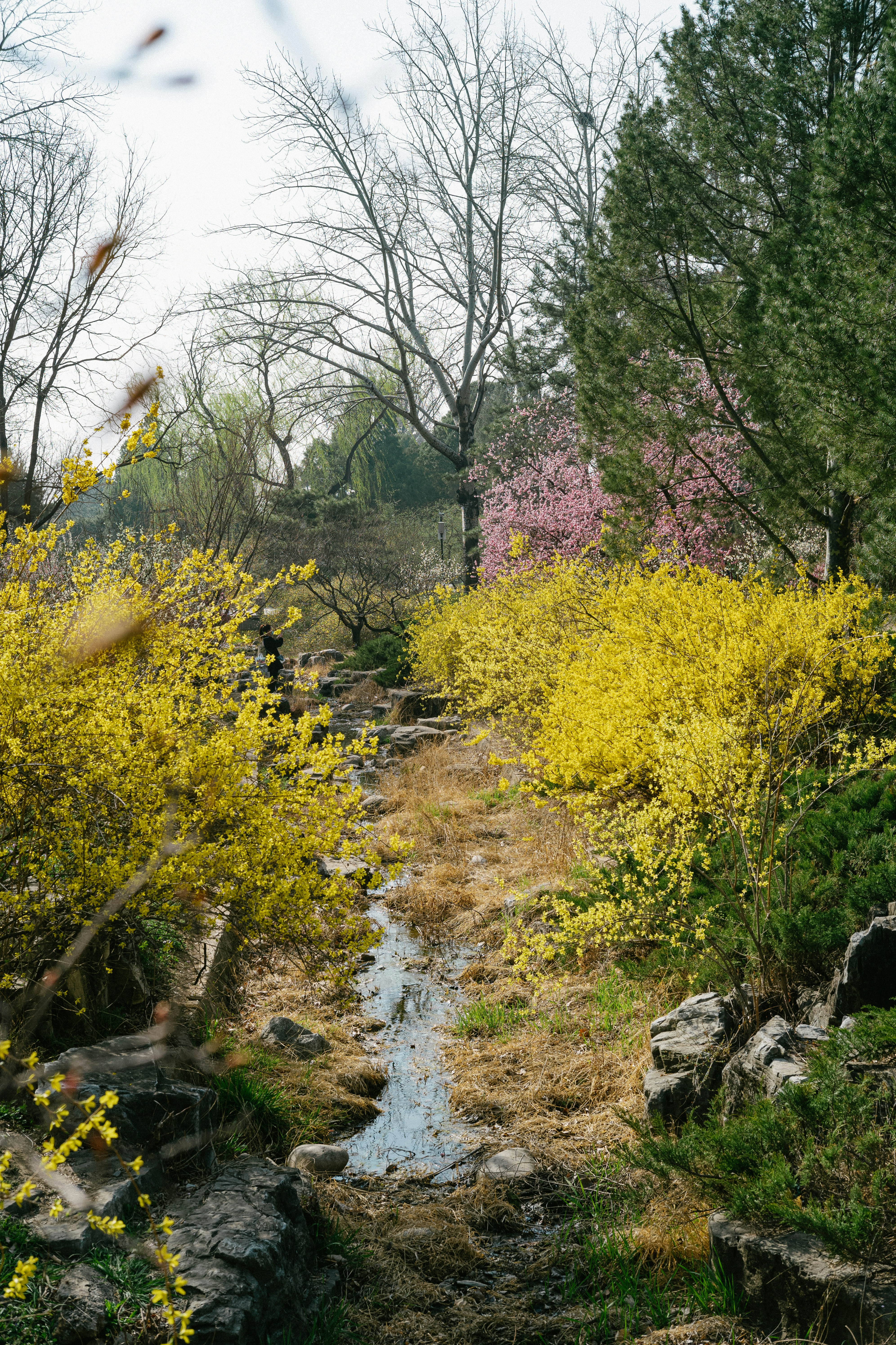 Acequia Filter Gardens