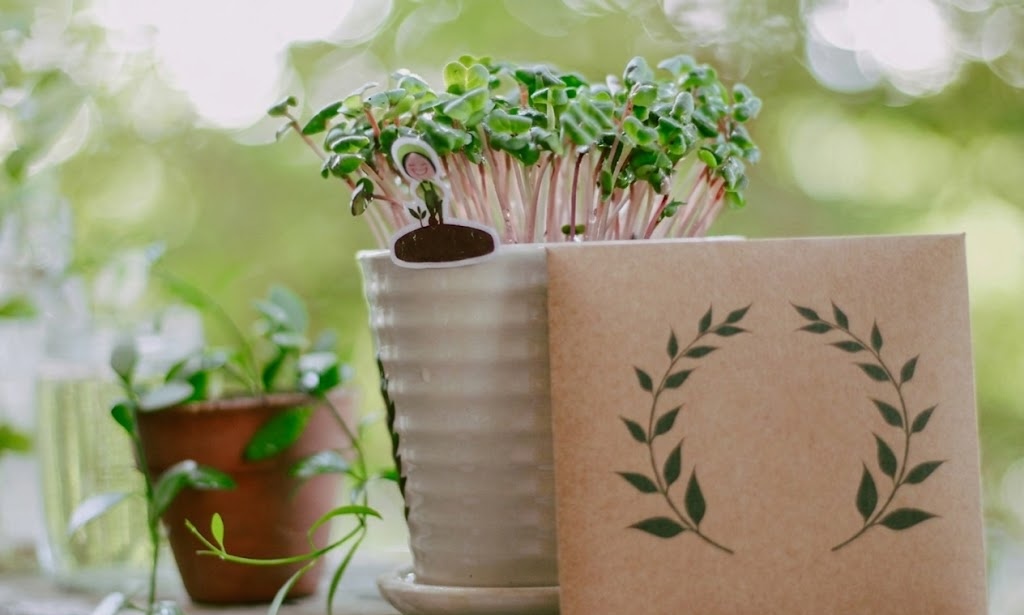 Native Seed Starter Kit