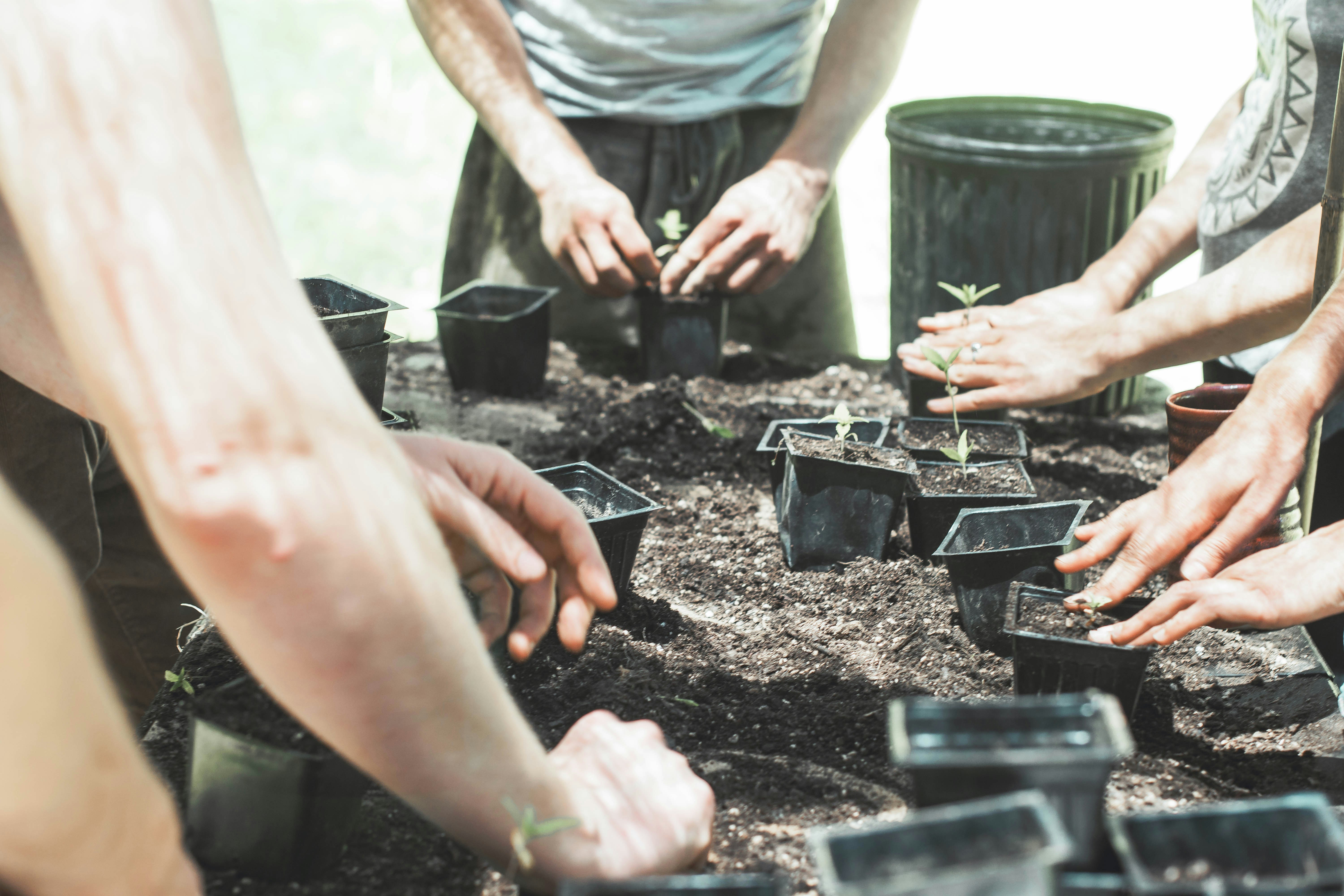 Community Planting Pass