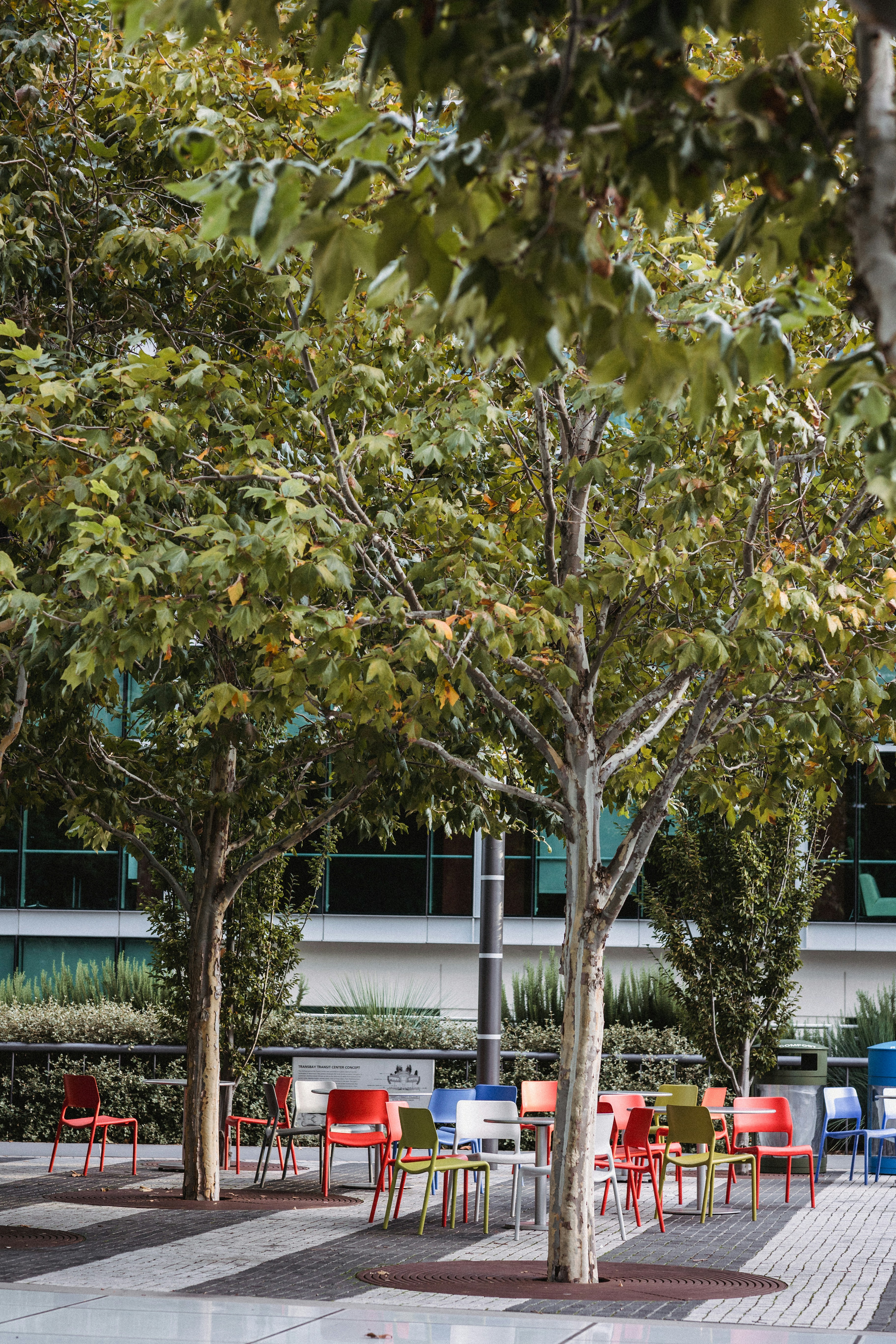 Schoolyard Shade Classrooms